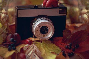 Sonbahar yaprakları Retro kamera