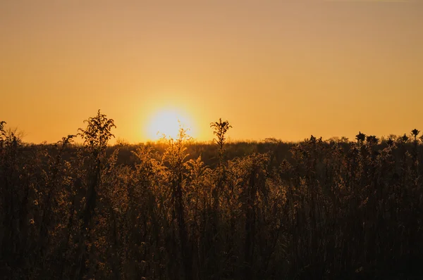 günbatımı alanında