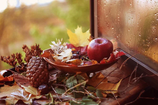 sonbahar kompozisyon