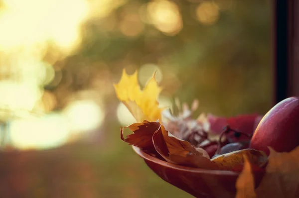 Sonbahar natürmort, seçici odak