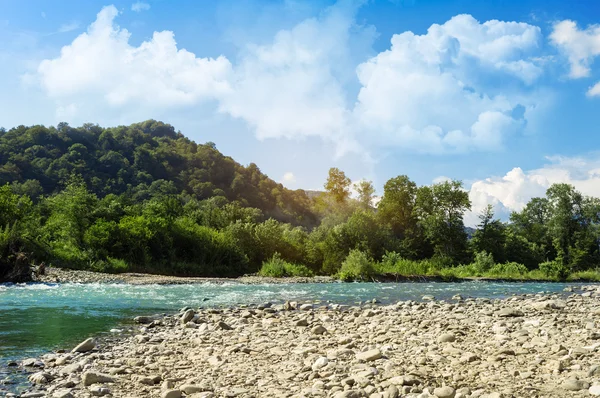 Güzel renkli dağ manzarası. Dağlarda yaz. Harika bir manzara. Sochi. Rusya. Rosa Khutor