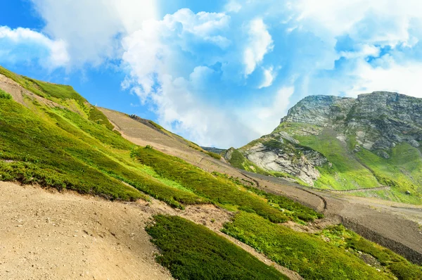 Güzel renkli dağ manzarası. Dağlarda yaz. Harika bir manzara. Sochi. Rusya. Rosa Khutor