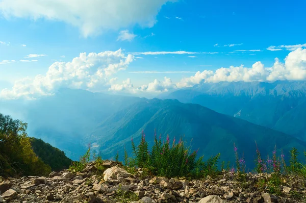 Güzel renkli dağ manzarası. Dağlarda yaz. Harika bir manzara. Sochi. Rusya. Rosa Khutor