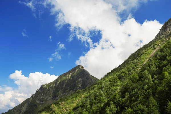 Hermoso paisaje de montaña colorido. Verano en las montañas. Un paisaje fantástico. Sochi. Rusia. Rosa Khutor Fotos De Stock