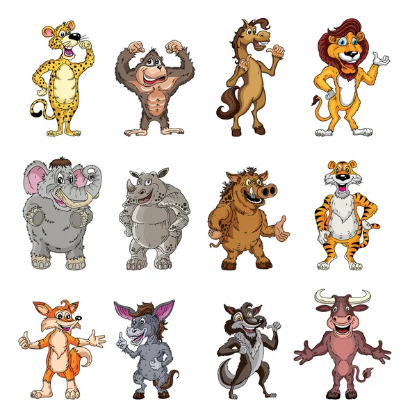 vahşi hayvan koleksiyonu