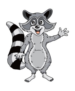 Racoon vektör çizim