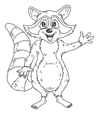 Racoon vektör çizim