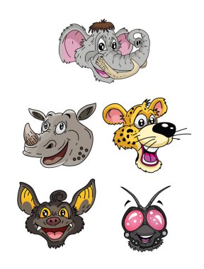 Hayvan kafa koleksiyonu