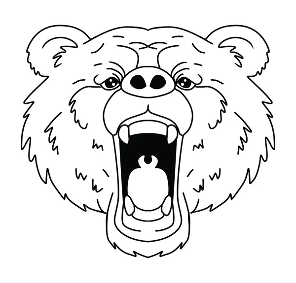 熊の頭 — ストックベクタ