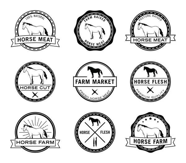 Paard boerderij badge — Stockvector