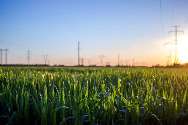 ? alanında ower satırı