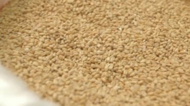 Malt bira üretimi için bileme