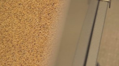 Malt bira bira de üretmek için bileme