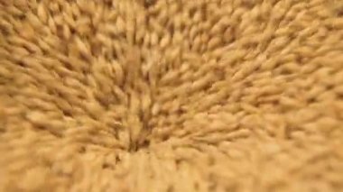 Malt bira bira de üretmek için bileme.