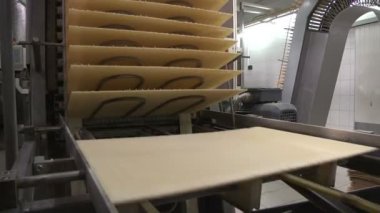 Waffle. Gofret imalatı. ? onveyor hattı