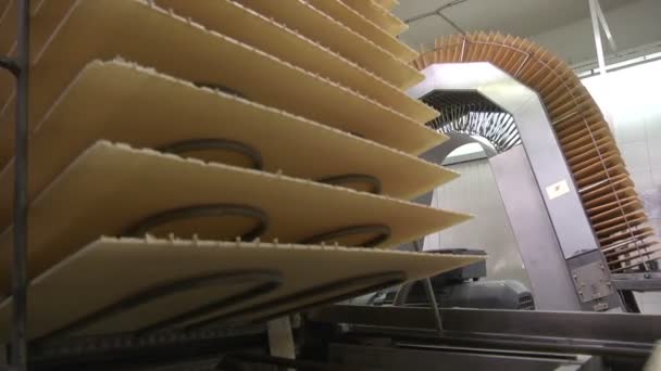 Waffles. Manufacture of wafers. Сonveyor line — Stock Video