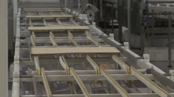 Waffles. Manufacture of wafers. Сonveyor line — Stock Video