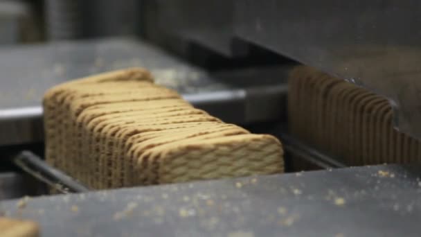 Cookies on the conveyor — Stock Video