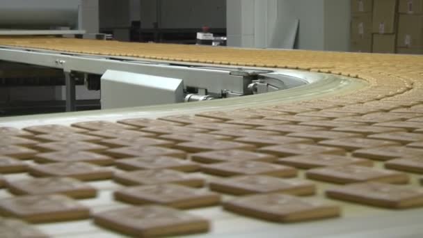 Cookies on the conveyor — Stock Video