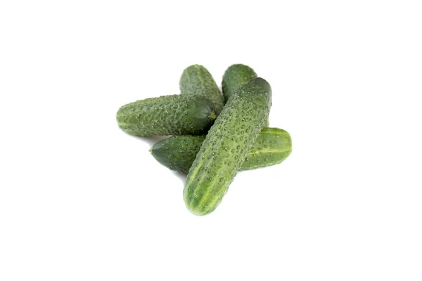Φρέσκο πράσινο αγγούρι — Φωτογραφία Αρχείου