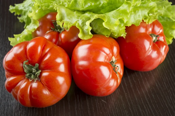 Färska tomater med sallad — Stockfoto