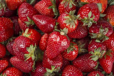 taze çilek yığını