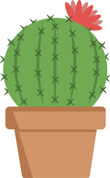 Kırmızı çiçekli küçük yuvarlak kaktüs.