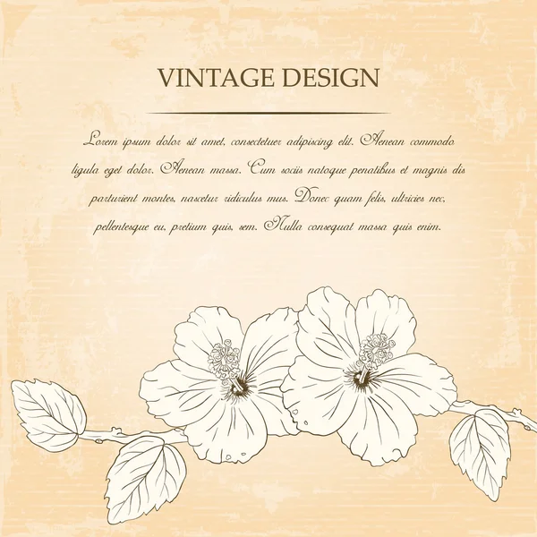 Modelo de design de cartão de parabéns com flores de hibisco. Ilustração vetorial . — Vetor de Stock
