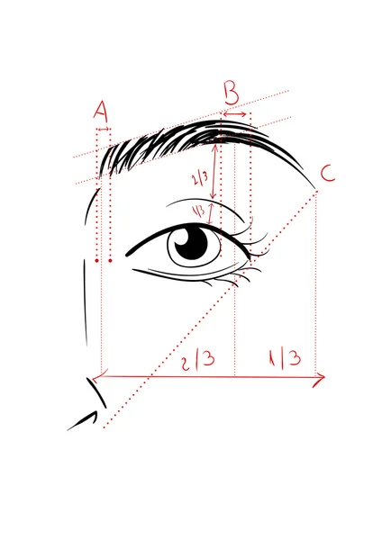 Die Augenbrauen formen — Stockvektor