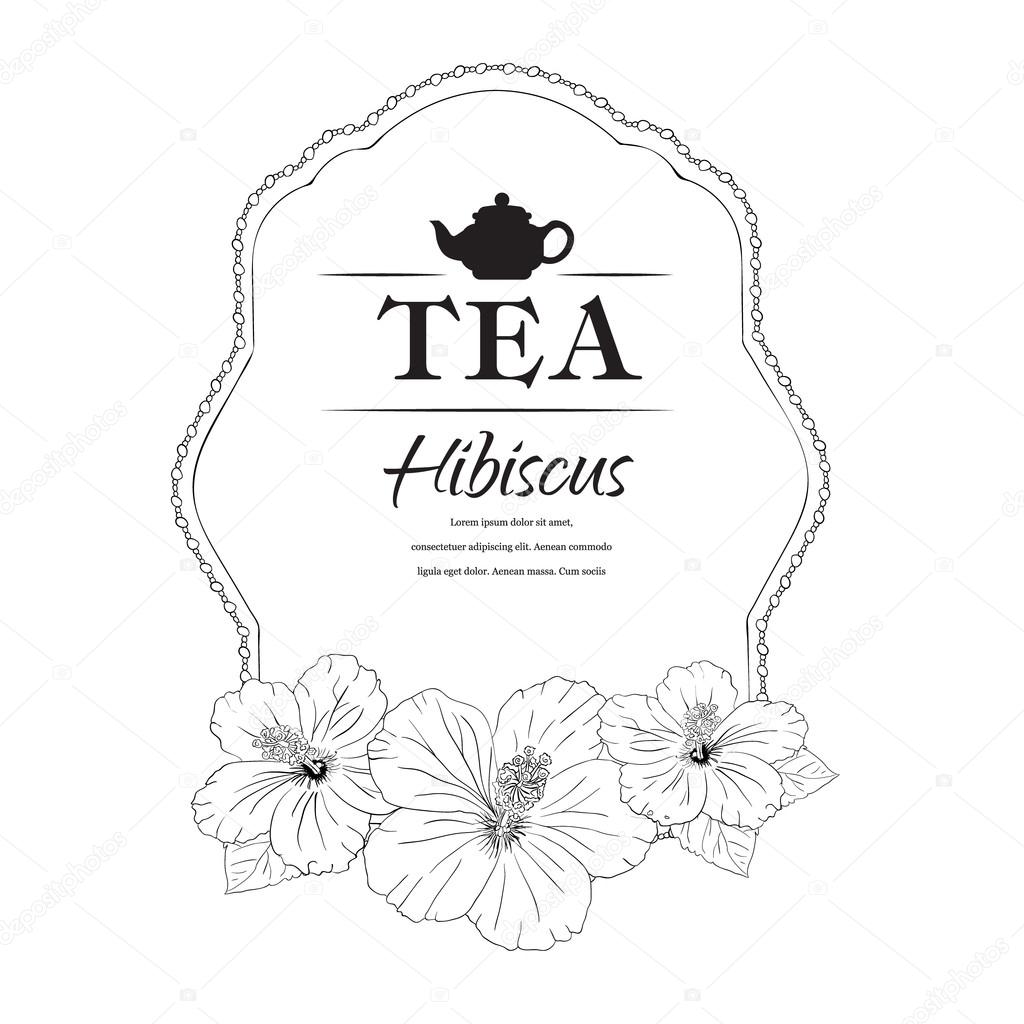 Vector illustration. Chinese Rose. template packaging tea, label, banner, poster, identity, branding. Hand drawn. teapot with hibiscus. Stylish design for herb red tea. carcade
