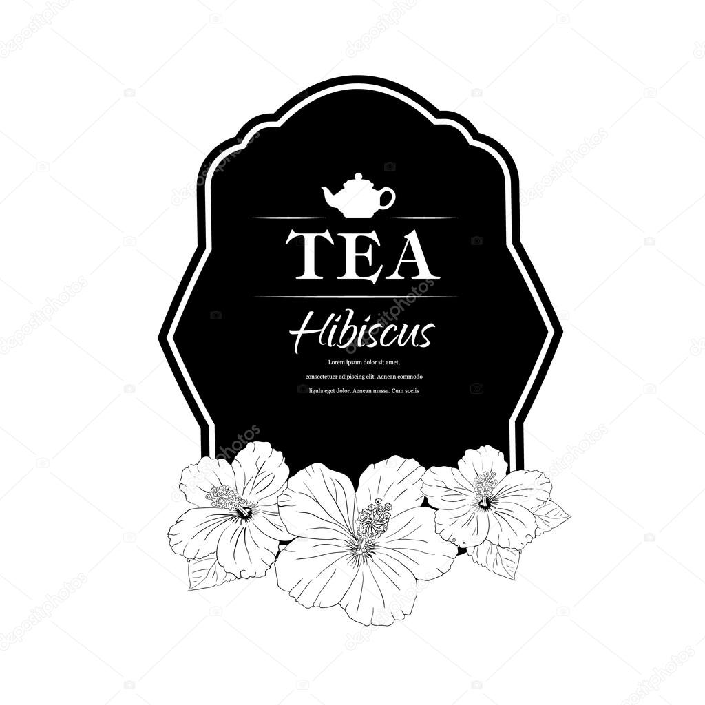 Vector illustration. Chinese Rose. template packaging tea, label, banner, poster, identity, branding. Hand drawn. teapot with hibiscus. Stylish design for herb red tea. carcade
