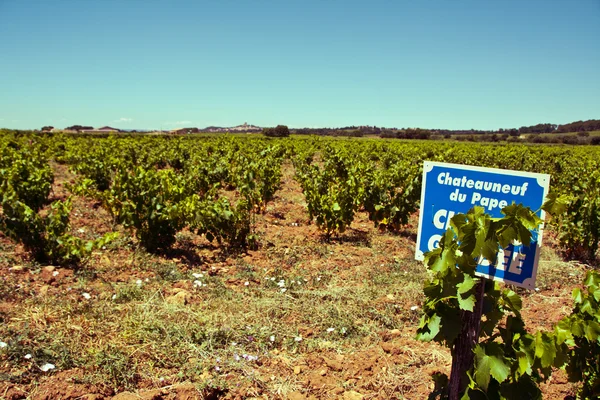 Viña provenzal, Francia — Foto de Stock