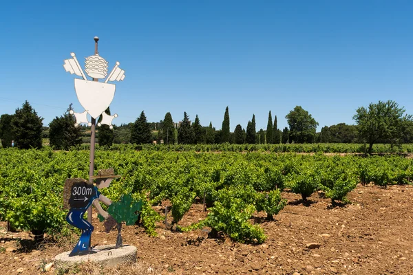 Viña provenzal, Francia — Foto de Stock