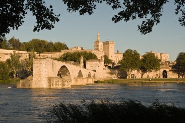 Pont du Avignon ,Provence, France clipart