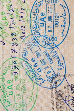 Uluslararası giriş vizesi