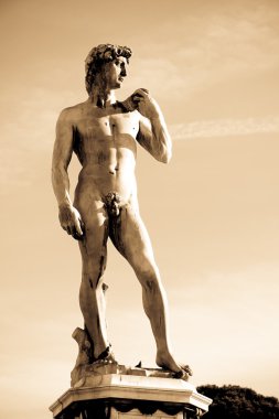 Michelangelo David kopyasını