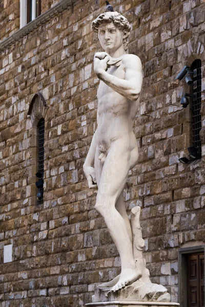 Copy of statue of David in Florence — Stock Photo, Image