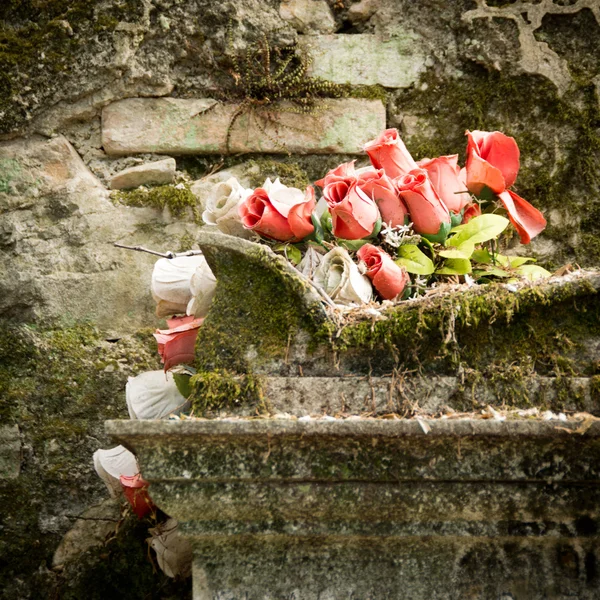 Rosas no túmulo velho — Fotografia de Stock