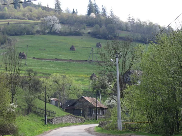 Дорога в селі — стокове фото