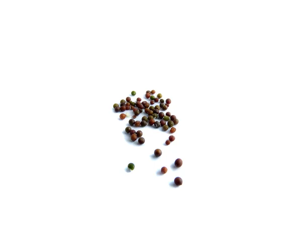 As sementes de mostarda — Fotografia de Stock