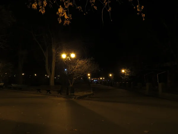 Caminhada da noite — Fotografia de Stock