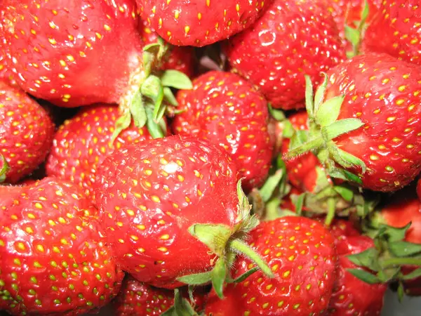 Strawberries — Stock Photo, Image