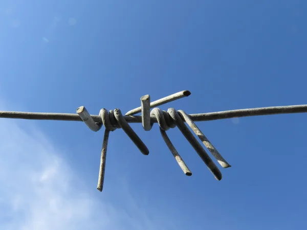 Barbed wire — Stock Photo, Image