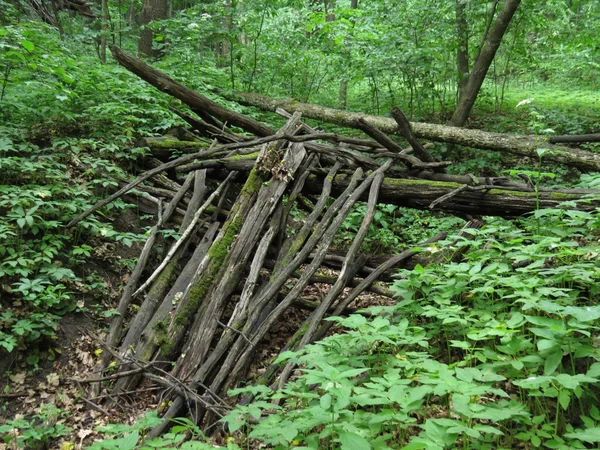 Hütte aus Ästen — Stockfoto