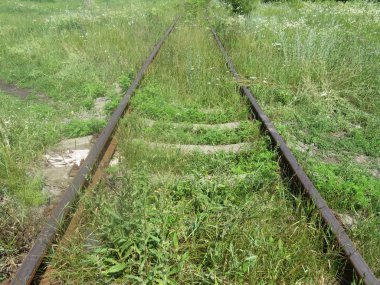 Yabani otlar ile büyümüş terk edilmiş paslı raylar.