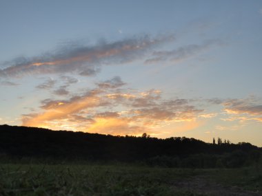 Yeşil alan, orman ve gökyüzü günbatımı sırasında.