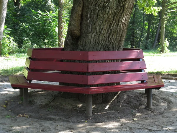 ahşap park bankında