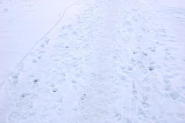 雪の中の足跡 — ストック写真