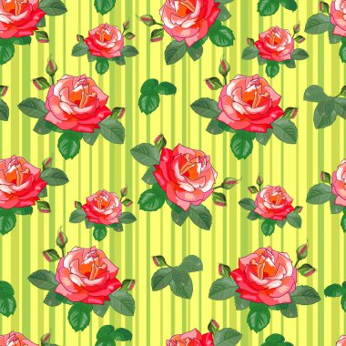 Sarı çizgili arka plan gül