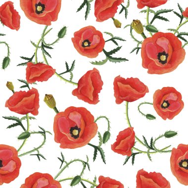 Haşhaş ile çiçek desenli